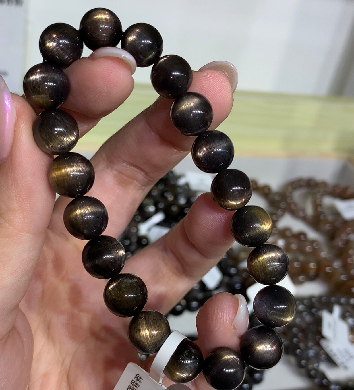 Black Gold Sun Backbone