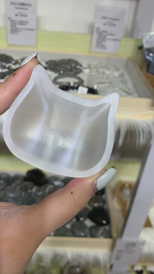 高品石膏貓貓碟