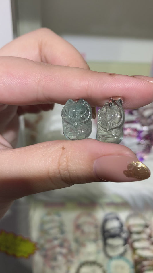 全綠阿魯沙大頭狐狸