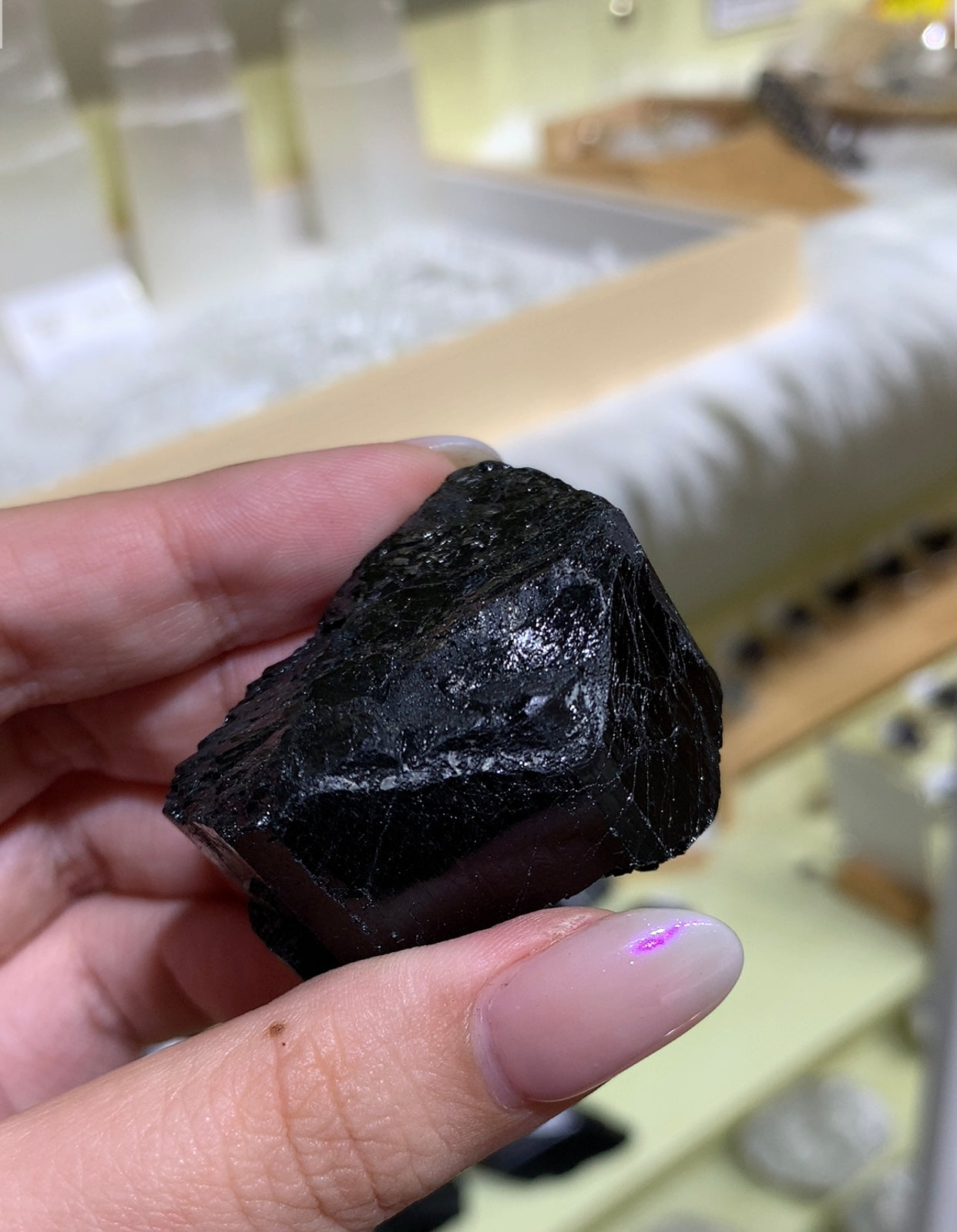 Black Tourmaline Rough #11