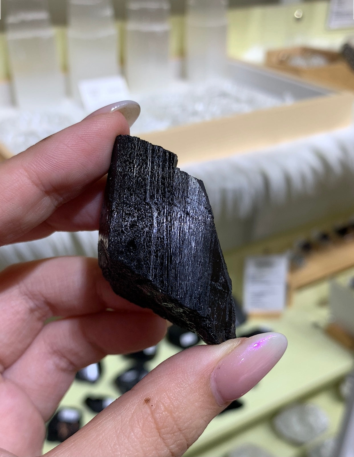 Black Tourmaline Rough #15