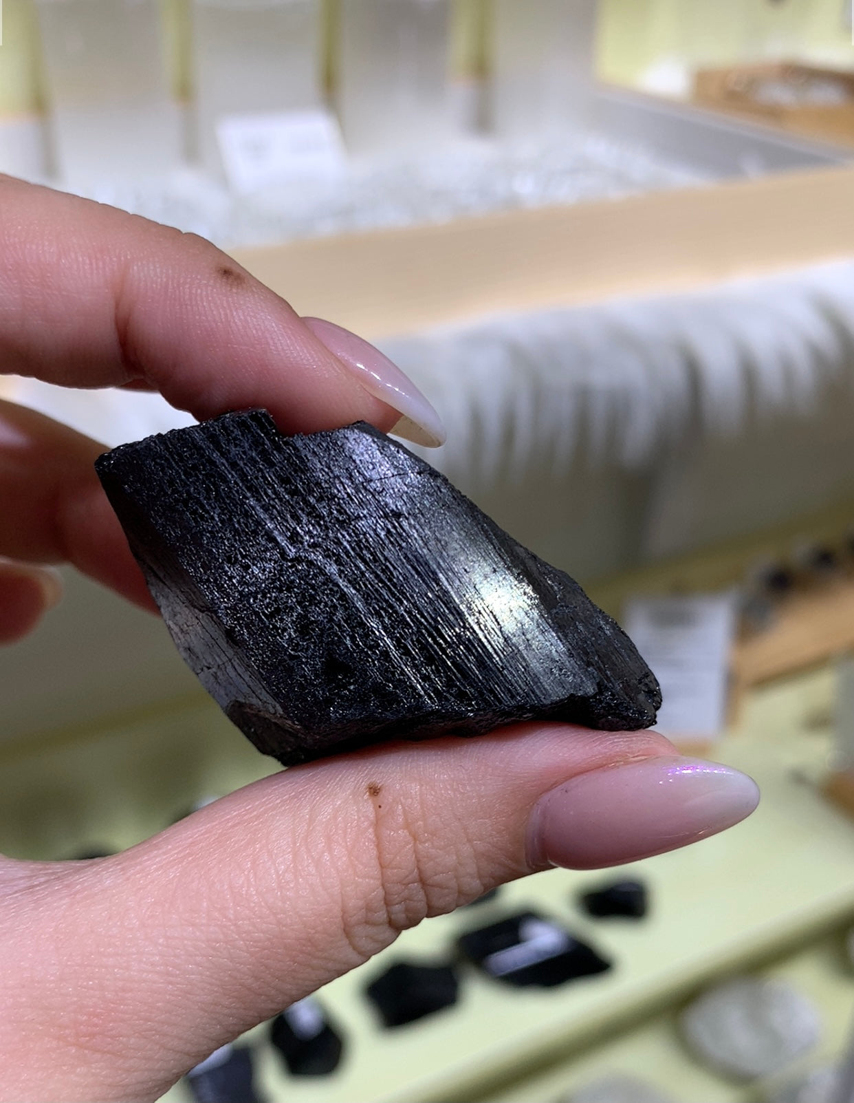 Black Tourmaline Rough #15