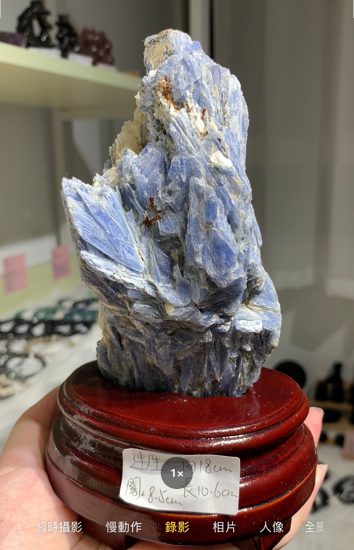 Rough Kyanite #5