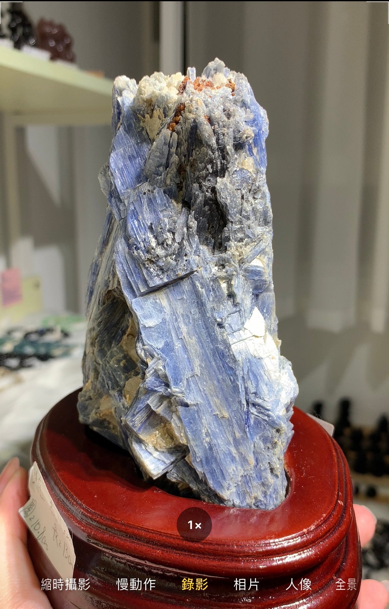 Rough Kyanite #7