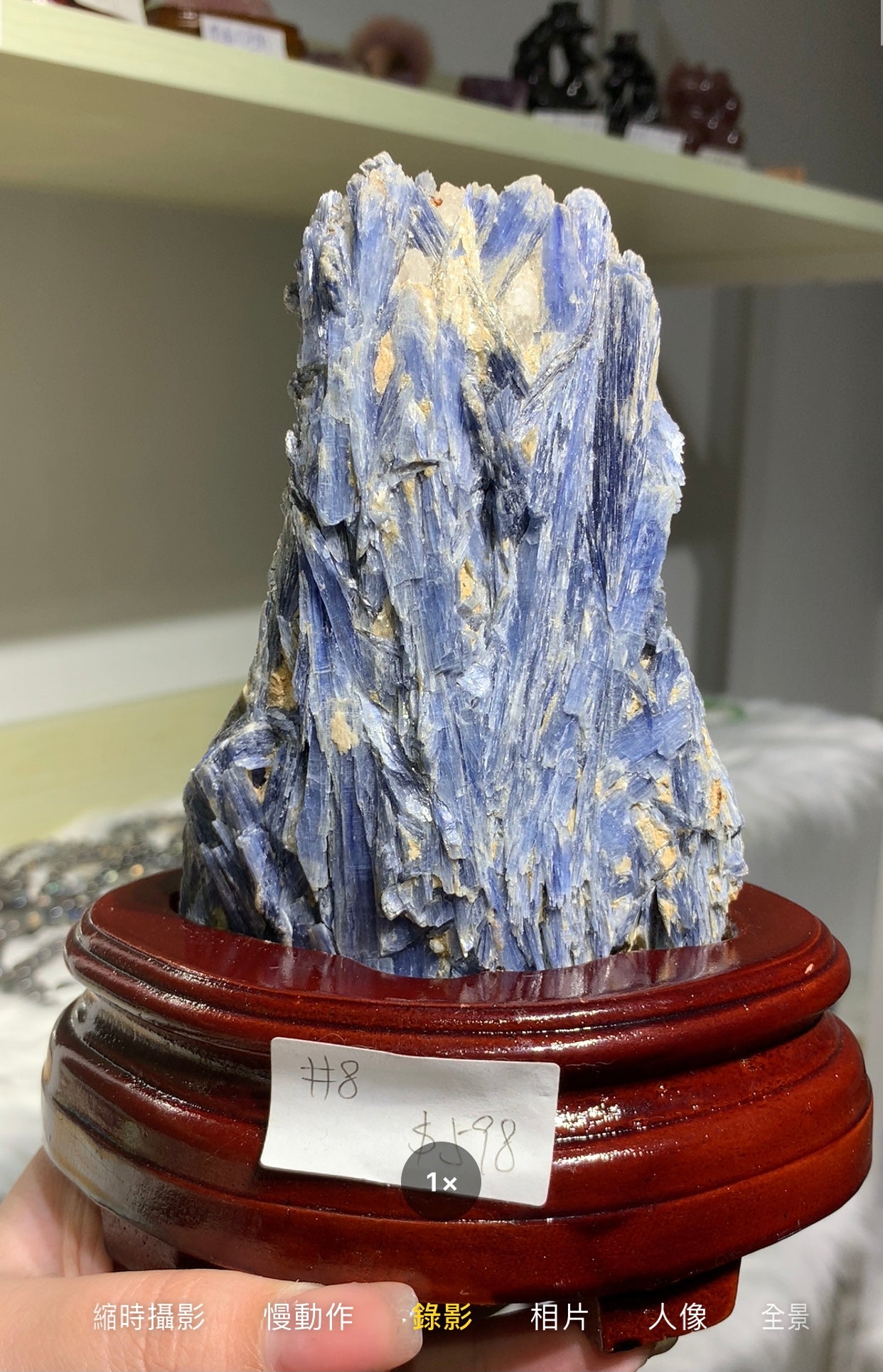Rough Kyanite #7