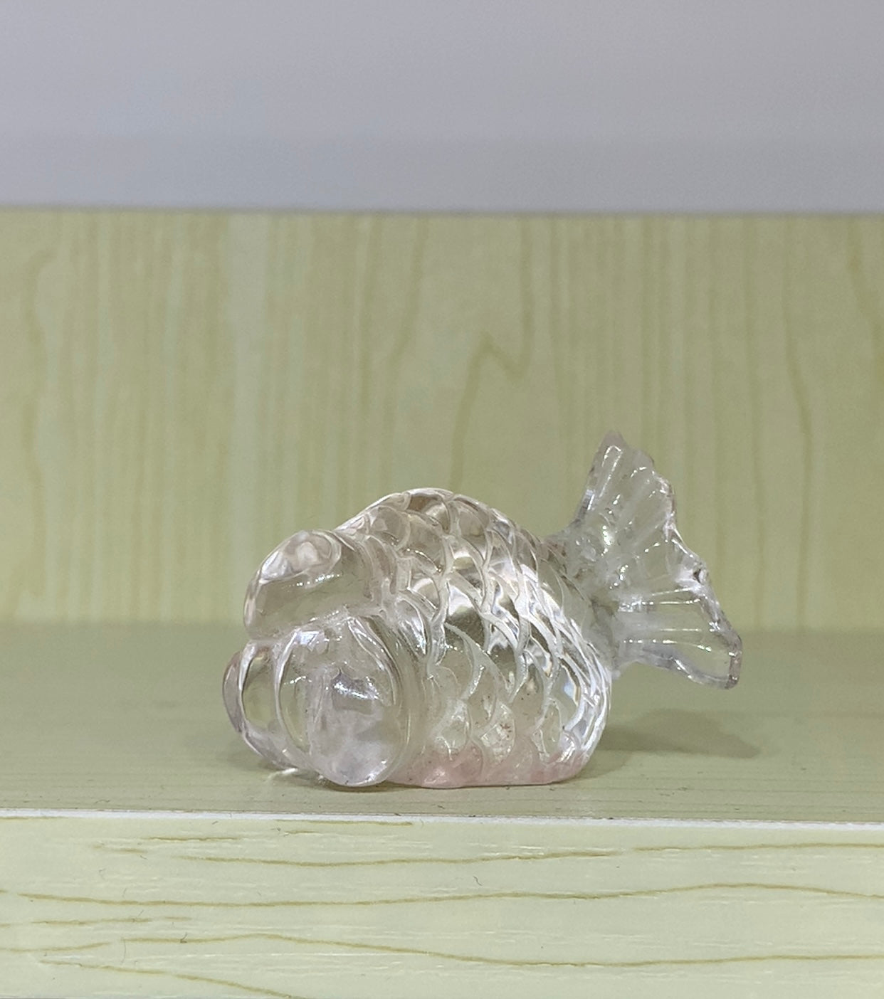 白水晶共生紅兔毛金魚