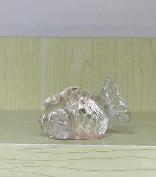 白水晶共生紅兔毛金魚