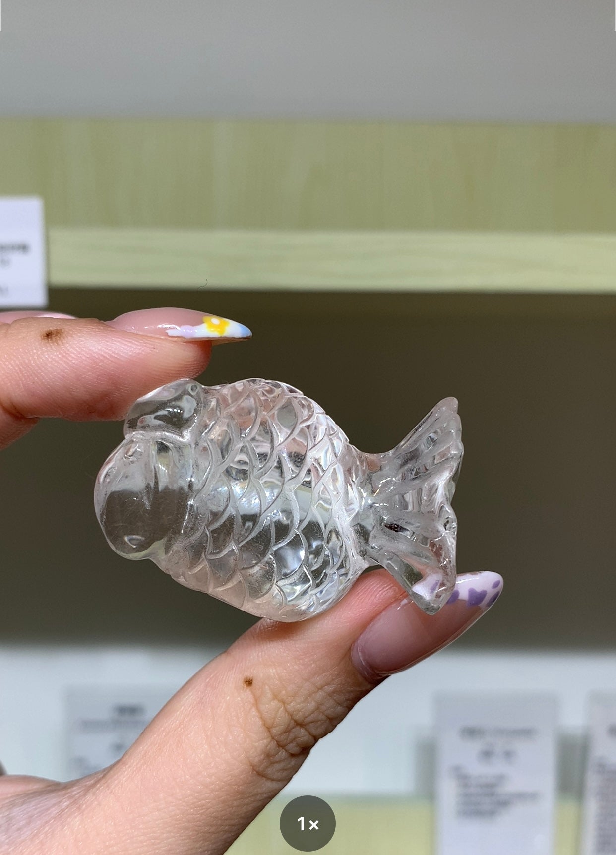 白水晶共生紅兔毛金魚