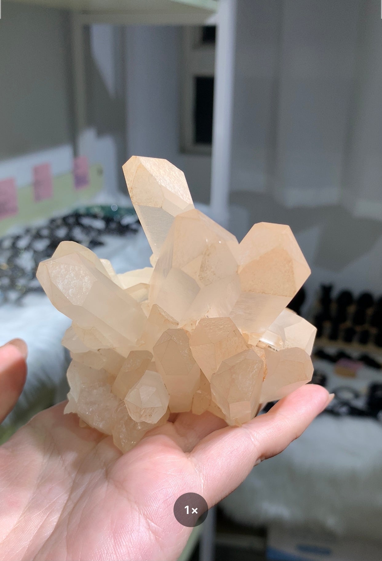 白晶簇 #11