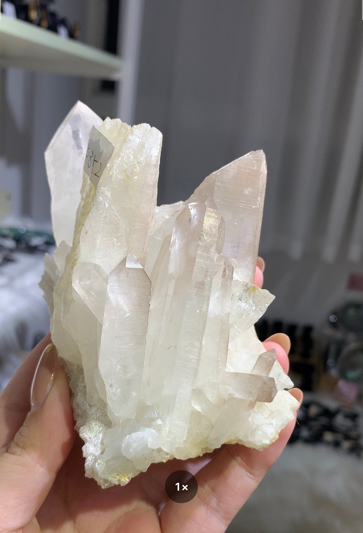 白晶簇 #10