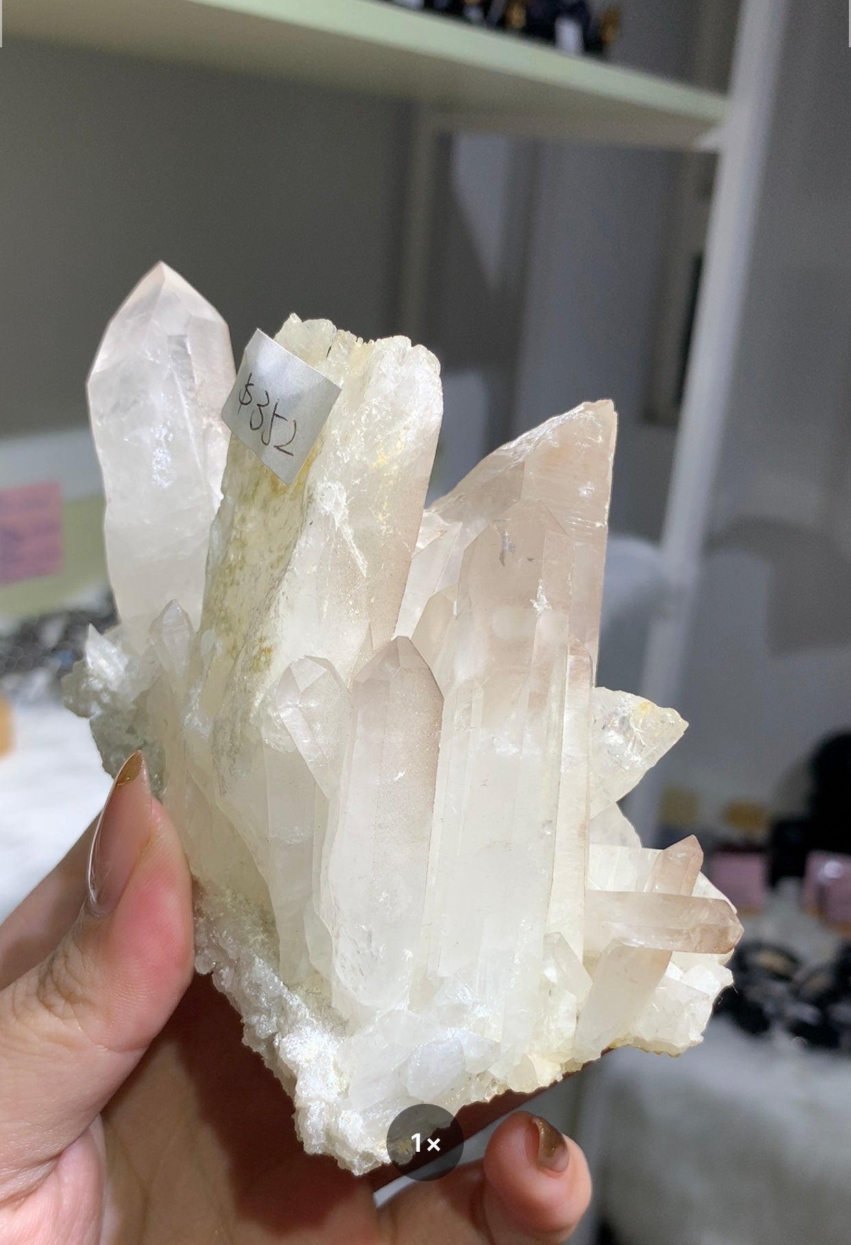 白晶簇 #10