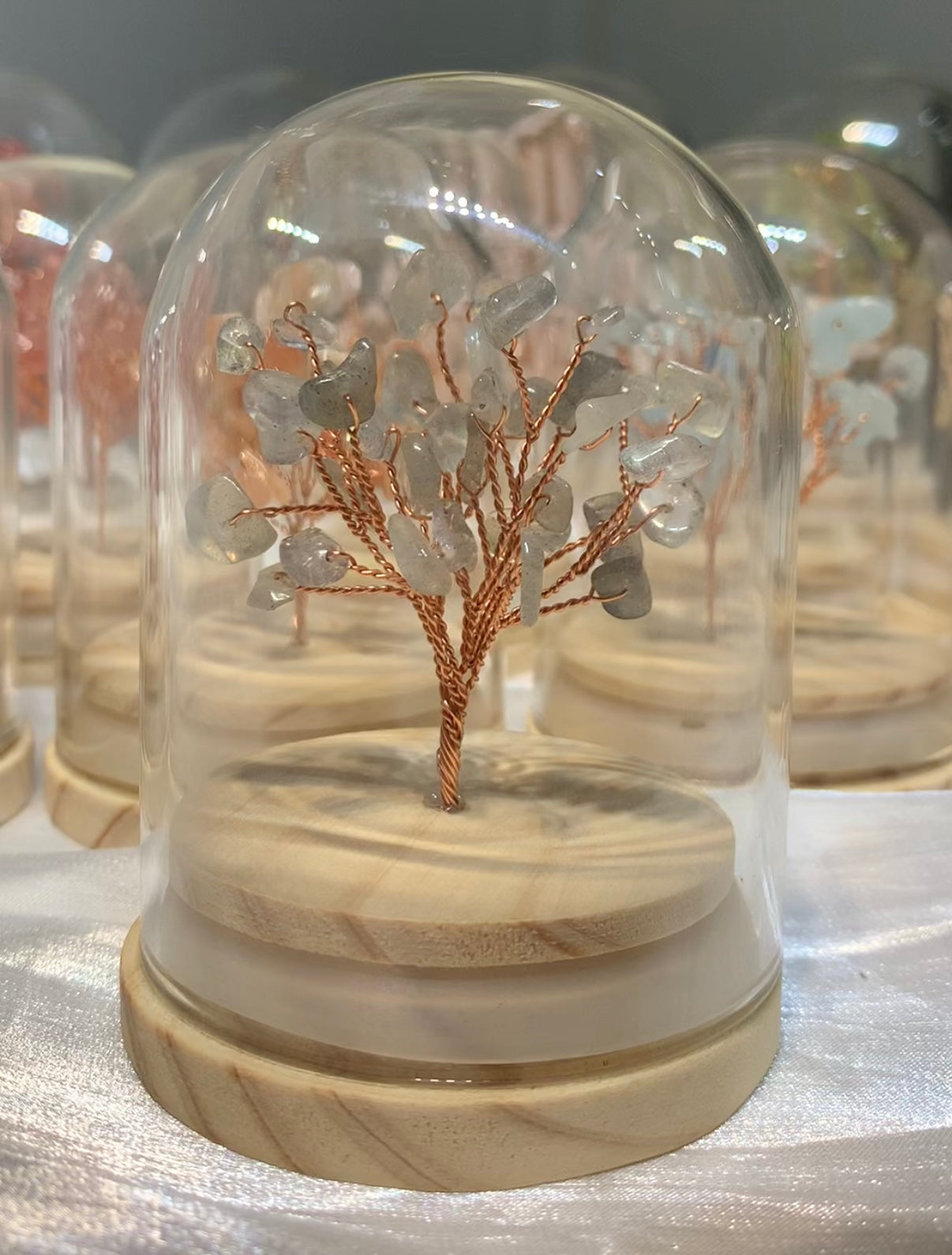 水晶樹(有蓋)M Size