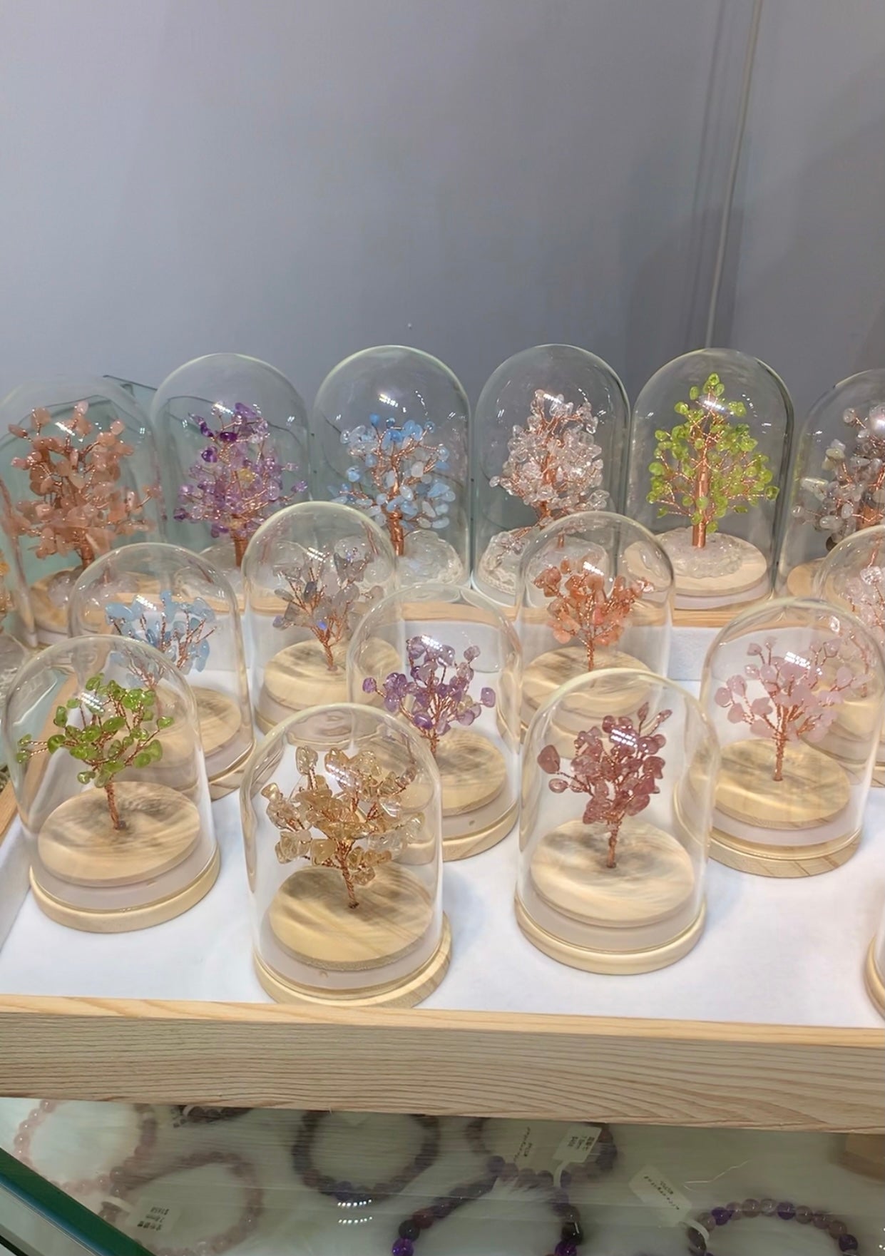水晶樹(有蓋)M Size